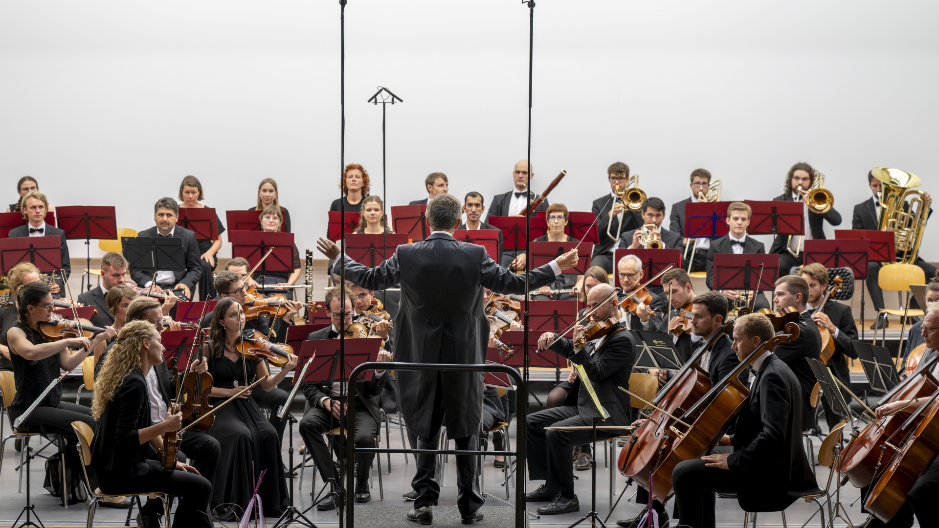 Dirigent leitet ein klassisches Orchester mit verschiedenen Streich- und Blasinstrumenten bei einem Auftritt.
